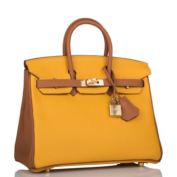 Hermes SpESial Order (HES) Birkin 25 Jaune Ambre and Gold Togo PermabraES Hardware
