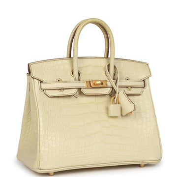 Hermes SpESial Order (HES) Birkin 25 Vanille Matte Alligator Brushed Gold Hardware