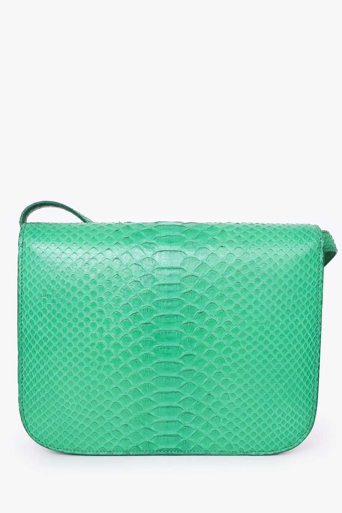 Celine Green Python Leather Medium Box Crossbody